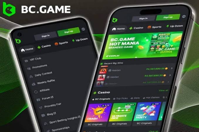 Guide to BC.Game Mirror Registration Your Pathway to Exciting Online Gaming